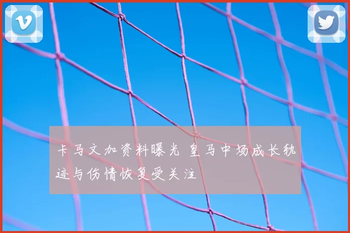 卡马文加资料曝光 皇马中场成长轨迹与伤情恢复受关注