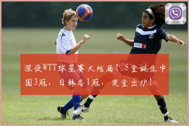 深夜WTT球星赛大结局！5金诞生中国3冠，日韩各1冠，奖金出炉！