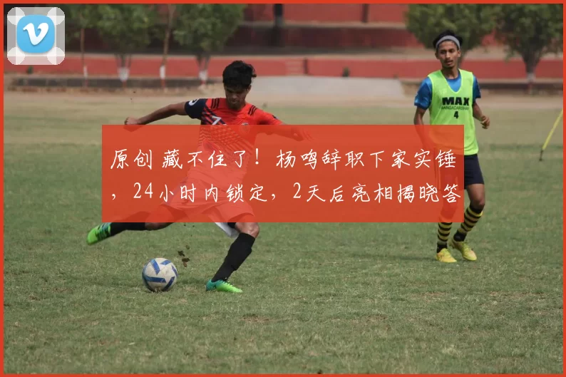 原创 藏不住了！杨鸣辞职下家实锤，24小时内锁定，2天后亮相揭晓答案