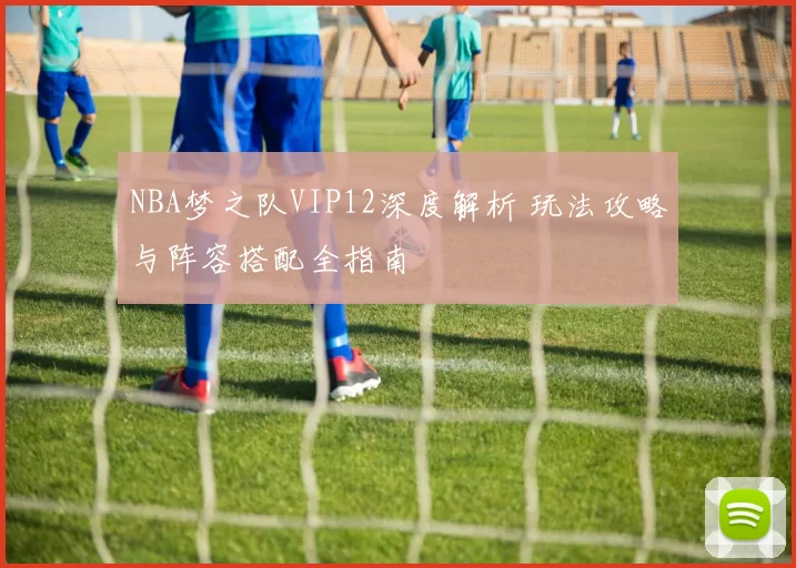 NBA梦之队VIP12深度解析 玩法攻略与阵容搭配全指南