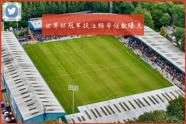 世界杯冠军投注赔率倍数曝光