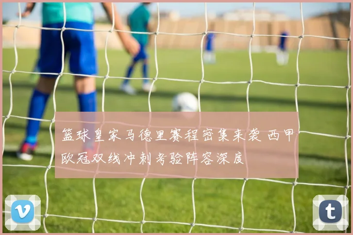 篮球皇家马德里赛程密集来袭 西甲欧冠双线冲刺考验阵容深度
